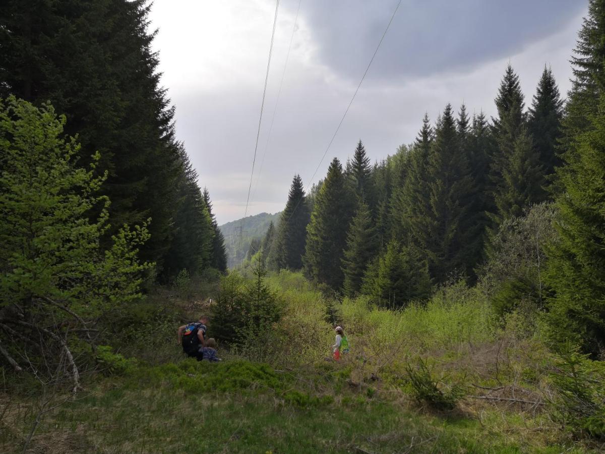 Sky Cabin Apartments Kopaonik Buitenkant foto